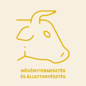 Perfekt Vizsgaközpont