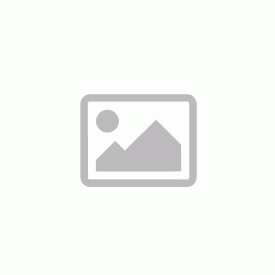   Államháztartási mérlegképes könyvelő hatósági vizsga - 2026.10.05.